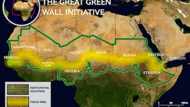 Photo of Senegal, il muro verde che vince sul deserto