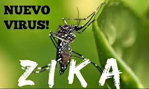 Photo of America Latina: emergenza virus Zika, causa gravi malformazioni ai neonati