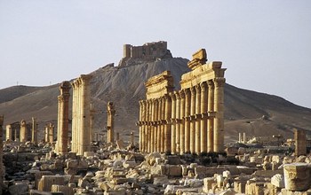 Photo of L’Iran pronto a partecipare al ripristino dei siti archeologici di Palmyra