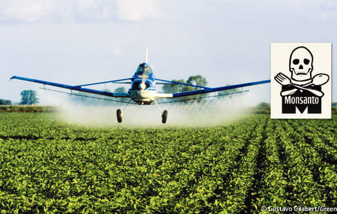 Photo of La Bayer lancia la scalata alla Monsanto