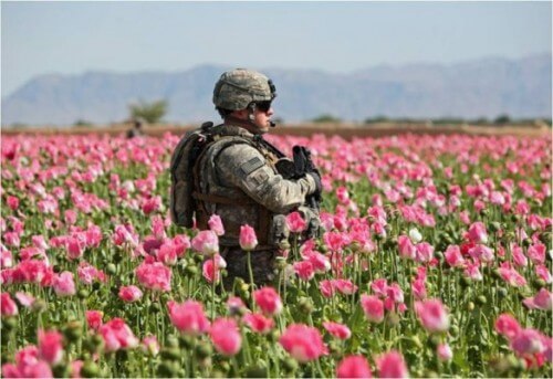Photo of Guerra dell’oppio in Afghanistan, un business per gli Usa