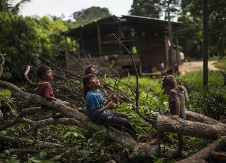 Photo of Amazzonia, la lotta degli Indios in difesa del polmone del mondo