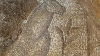 Photo of Siria, ritrovati mosaici bizantini durante sminamento