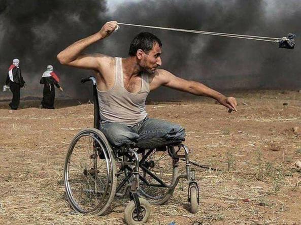 cecchini-gaza