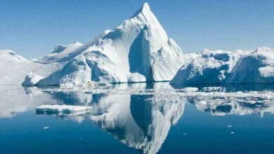 Photo of Polo Nord sarà privo di ghiaccio prima del 2050