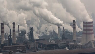 Photo of Inquinamento, 90 per cento del pianeta respira aria inquinata