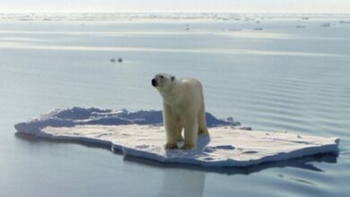 Photo of Artico, scienziati lanciano allarme ondata di calore
