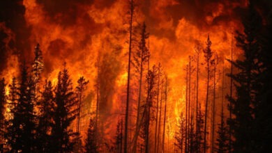 Photo of Italia: incendi minacciano aree protette dall’Unesco