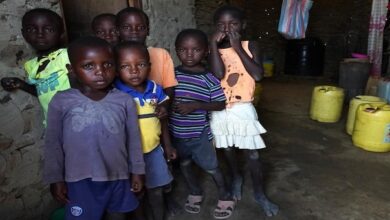Photo of Corno d’Africa: 18,4 milioni di persone in grave insicurezza alimentare