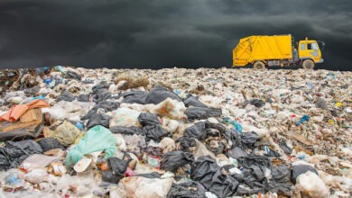 Photo of Terra dei Fuochi: quando i rifiuti tossici valgono più dell’oro