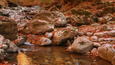 Autunno-Mazandaran