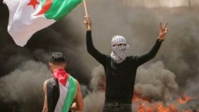 Algeria-Jenin