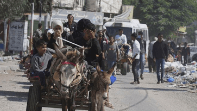 Gaza