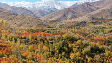 Iran