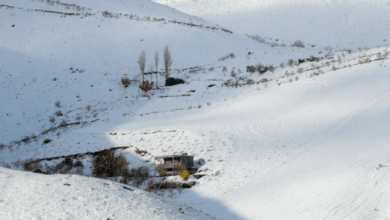 Neve-Iran