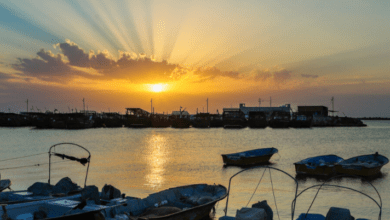 Bushehr