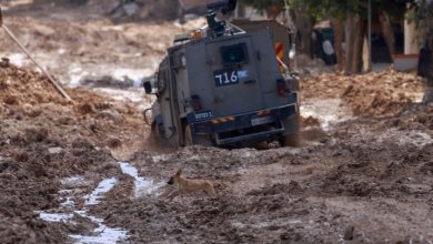 Gaza-city