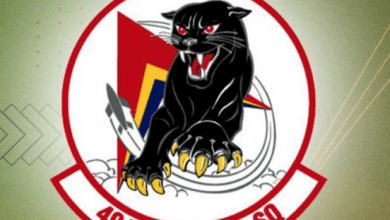 494th Fighter Squadron