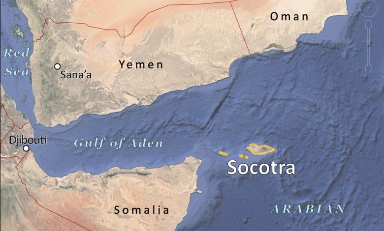 socotra